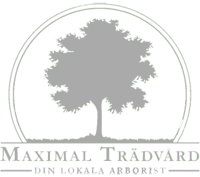 Maximal Trädvård